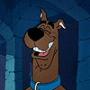 Scooby Doo